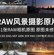 世界杯种子队 分类-世界杯种子队分类，历史、现状与展望